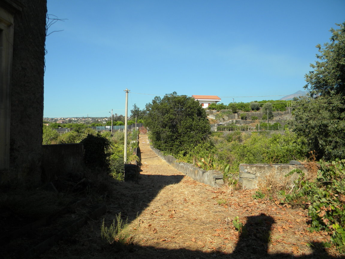 DSCN8175 .JPG